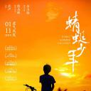 蜻蜓少年