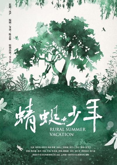 蜻蜓少年的海报-正式海报