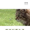 猫的秘密生活