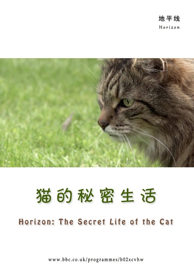猫的秘密生活的海报-其他海报 网友自制海报