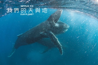我们的星球的海报-其他海报