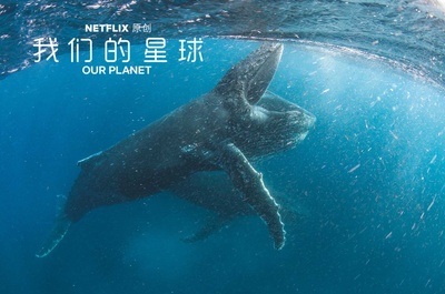 我们的星球的海报-其他海报