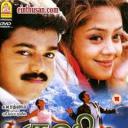 命中注定爱上你