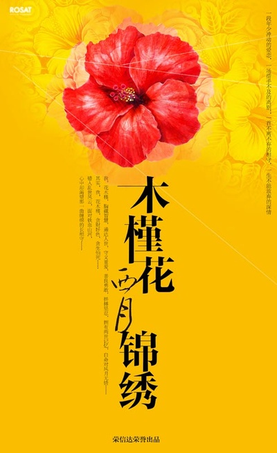 木槿花西月锦绣的海报-预告海报