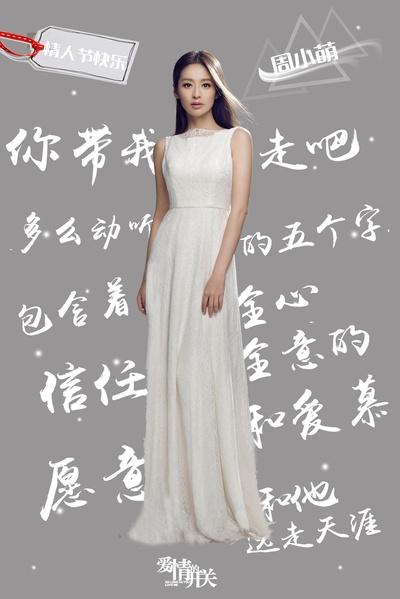 爱情的开关的海报-其他海报