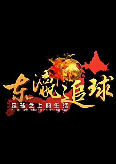 东瀛追球的海报-正式海报