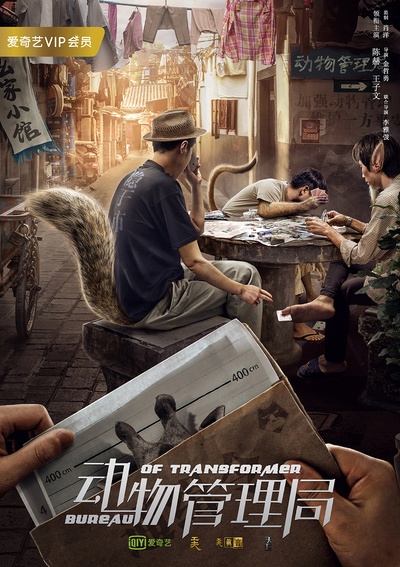 动物管理局的海报-正式海报
