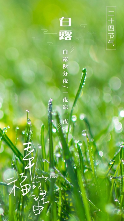 幸福的理由的海报-其他海报 中国大陆
