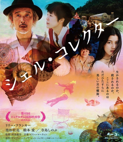 贝壳收藏家的海报-其他海报