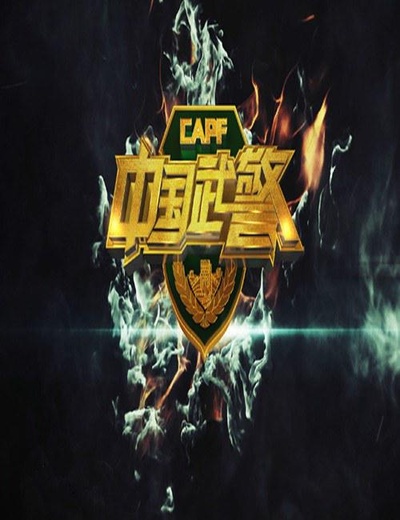 中国武警的海报-正式海报