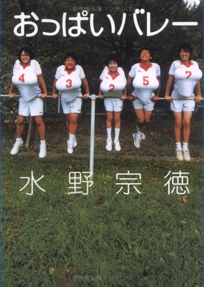 巨乳排球的海报-正式海报