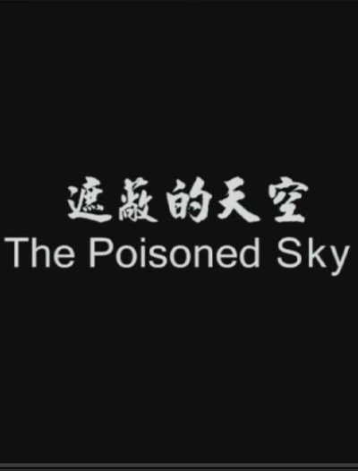 遮蔽的天空的海报-正式海报