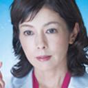 科搜研之女 第15季