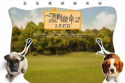 一条狗的使命2的海报-其他海报