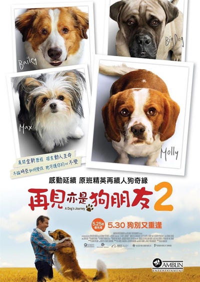一条狗的使命2的海报-正式海报 香港