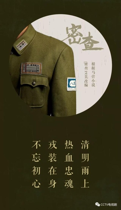 密查的海报-其他海报