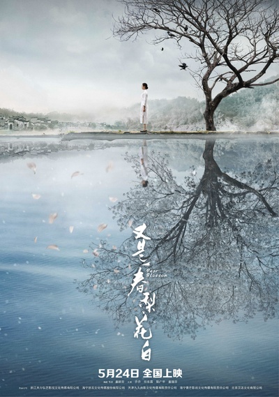 又是一春梨花白的海报-正式海报 中国大陆