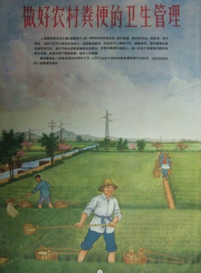 农村粪便管理的海报-正式海报