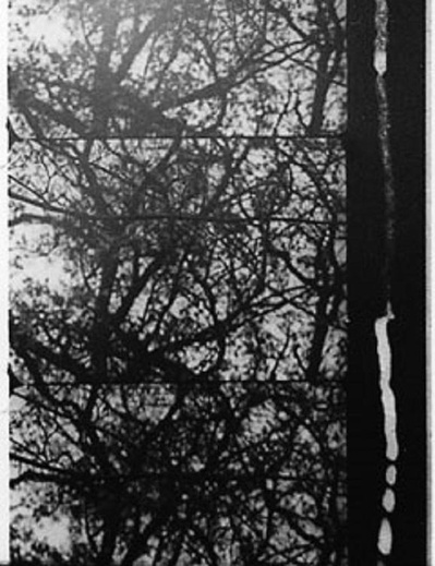 3/60: Bäume im Herbst的海报-正式海报
