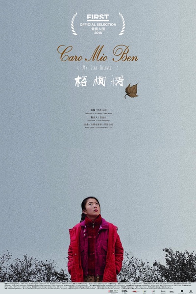 梧桐树的海报-正式海报