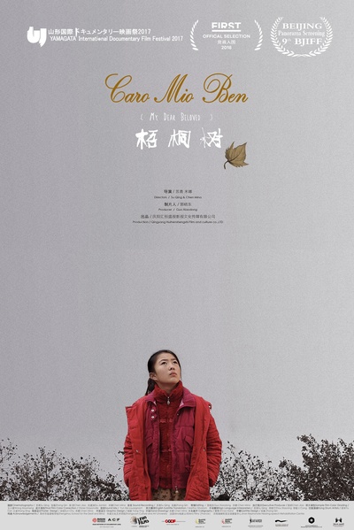 梧桐树的海报-正式海报 中国大陆
