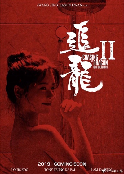 追龙Ⅱ的海报-预告海报