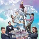 婚姻合伙人