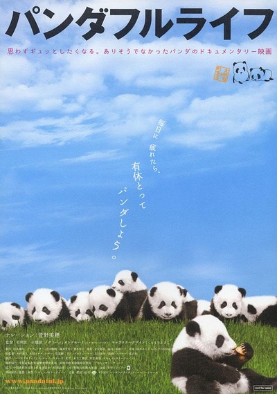 大熊猫的生活的海报-正式海报 日本