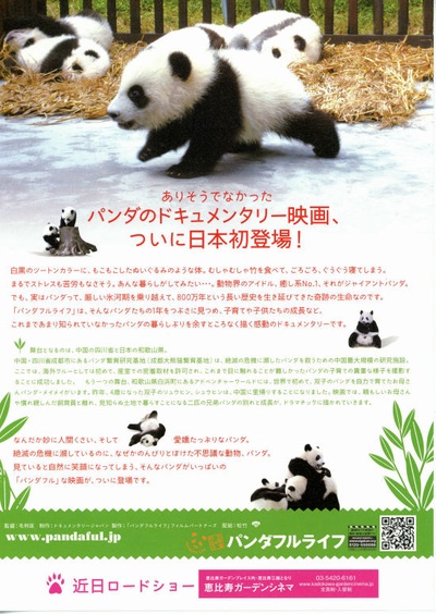 大熊猫的生活的海报-其他海报 日本