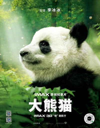 大熊猫的海报-正式海报 中国大陆