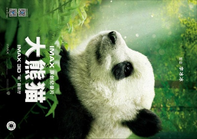 大熊猫的海报-正式海报 中国大陆
