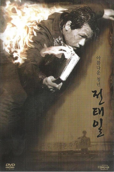 美丽青年全泰壹的海报-其他海报 韩国