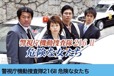 警视厅机动搜查队  Ⅱ 危险的女人们的海报-正式海报