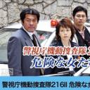 警视厅机动搜查队  Ⅱ 危险的女人们
