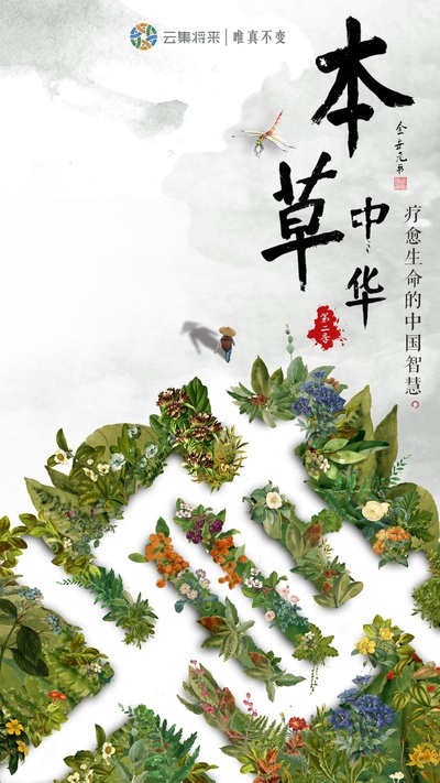 本草中华 第二季的海报-正式海报