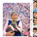 猫与爷爷