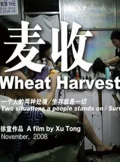 麦收的海报-正式海报