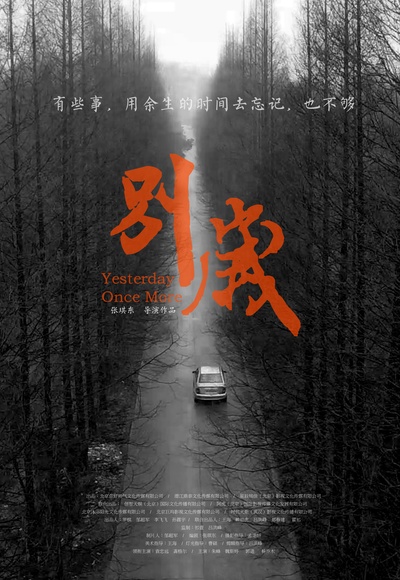 别岁的海报-预告海报
