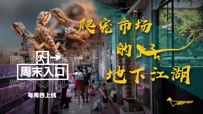 周末入口的海报-预告海报 中国大陆
