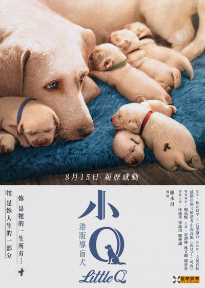 小Q的海报-正式海报 香港