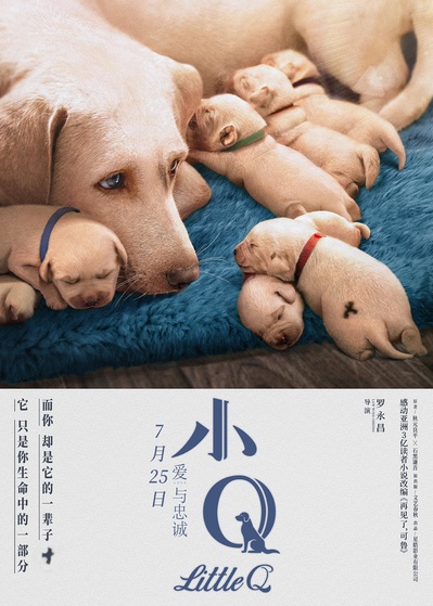 小Q的海报-正式海报 中国大陆