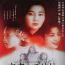 宋家皇朝