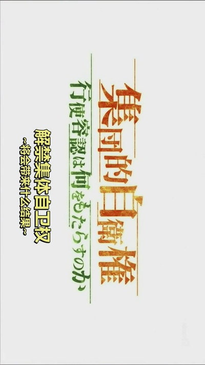 解禁集体自卫权将会带来什么结果的海报-正式海报