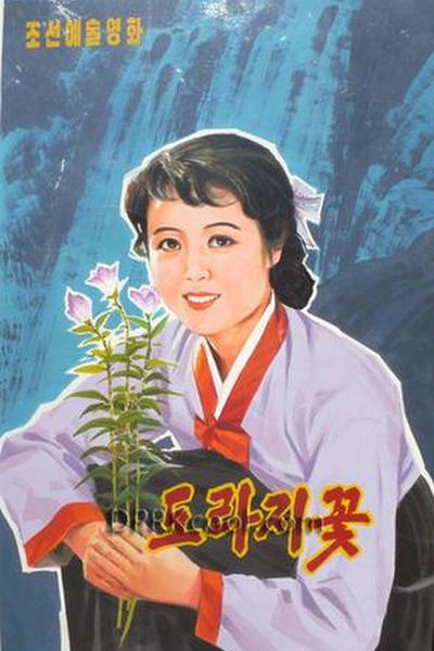 桔梗花的海报-正式海报