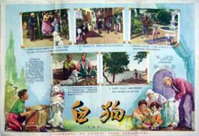 白色贵宾犬的海报-其他海报