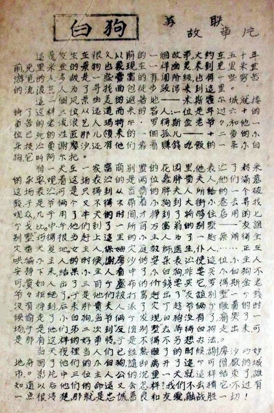 白色贵宾犬的海报-其他海报 中国大陆