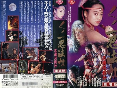 くノ一忍法帖 忍者月影抄的海报-其他海报