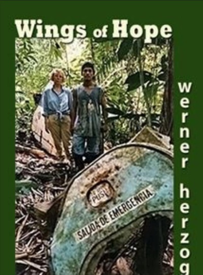 希望的翅膀的海报-正式海报