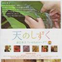 天的点滴 辰巳芳子的“生命之汤”