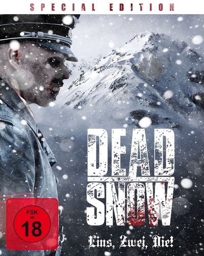 死亡之雪的海报-正式海报